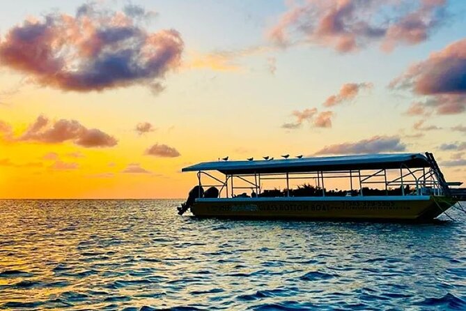 2 Stop Reef Snorkel and Glass Bottom Boat Adventure - Who will enjoy this tour most?