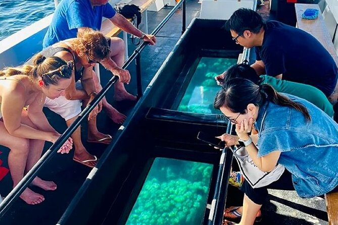 2 Stop Reef Snorkel and Glass Bottom Boat Adventure - Stop one: the shipwreck and its marine life
