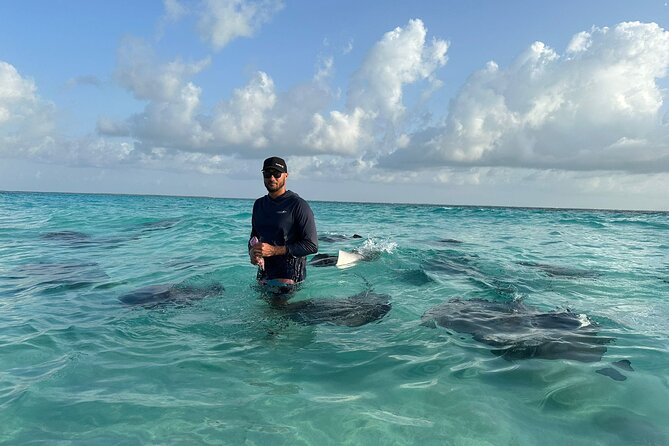 3 Hour Jet ski Adventure Swim with Rays and More - Meeting at the Cayman Islands Port Authority