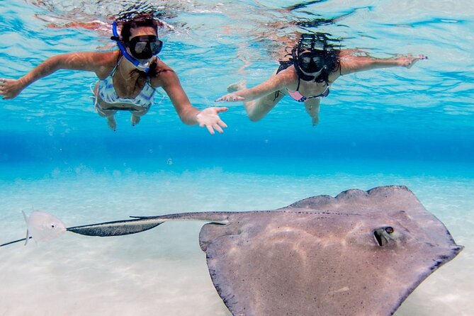 3-stop Adventure: Stingray City and snorkeling at Cayman Reefs - Key points to know before booking