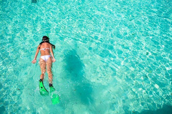 3-stop Adventure: Stingray City and snorkeling at Cayman Reefs - Coral Gardens offers an easy first look underwater
