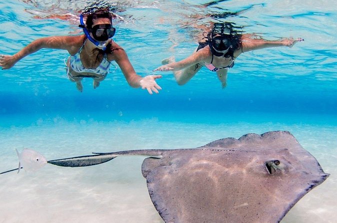 3-stop Adventure: Stingray City and snorkeling at Cayman Reefs - Cruise passengers should plan the return carefully