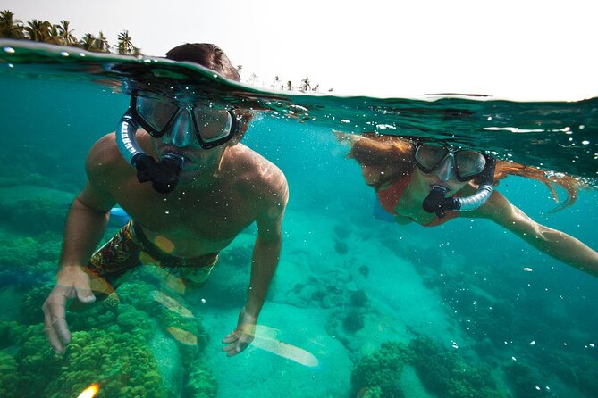 3-stop Adventure: Stingray City and snorkeling at Cayman Reefs - The Barrier Reef adds variety to the water time
