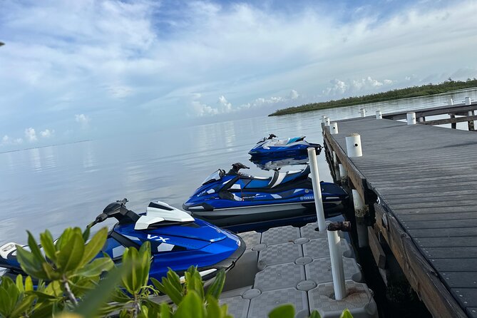 3HR Full Island Life Jetski Tour - Stingray City in shallow North Sound water