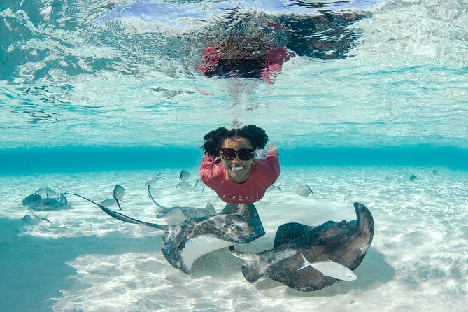 4 hour Private Boat charter to Stingray City, Snorkeling and More - Starfish Beach gives the day a gentler middle