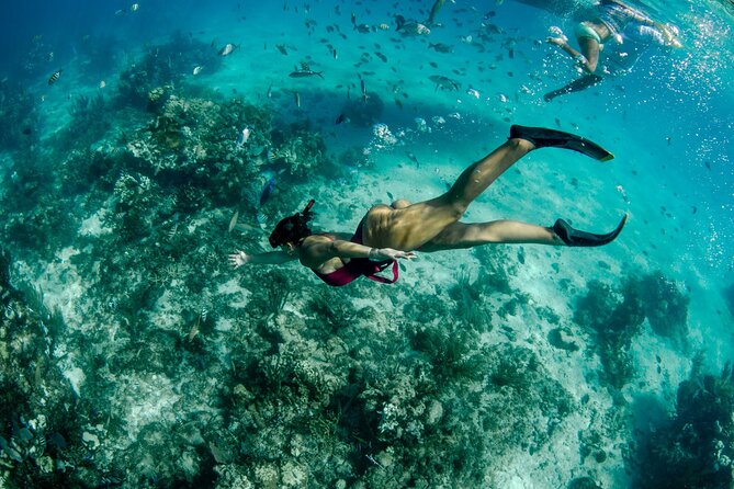 4 hour Private Boat charter to Stingray City, Snorkeling and More - Weather, timing, and the one service concern