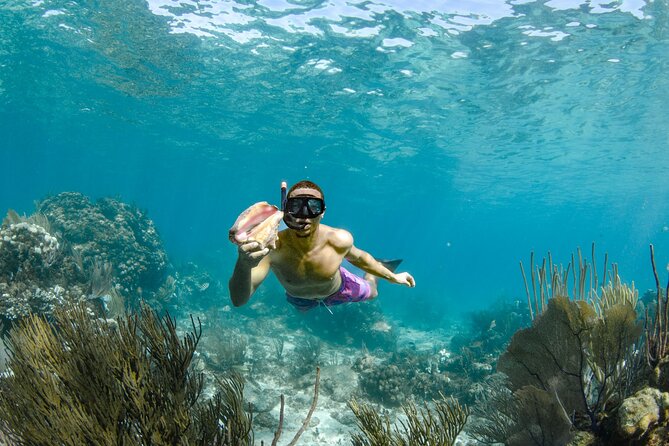 4 hour Private Boat charter to Stingray City, Snorkeling and More - The evening bioluminescent option