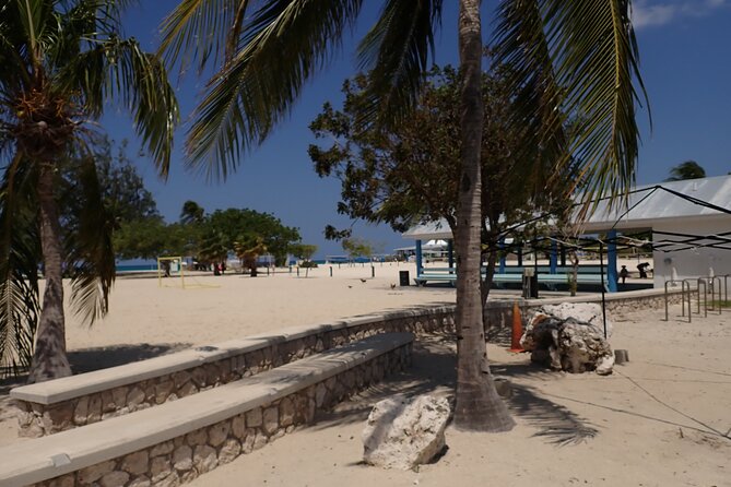 4-Stop Stingray, Snorkel, Star Fish & 7 Mile Beach (Family Owned) - Who will enjoy this tour most