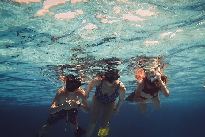 Acquarius Stingray City and Snorkel Tours - Three Cayman sights in one half-day
