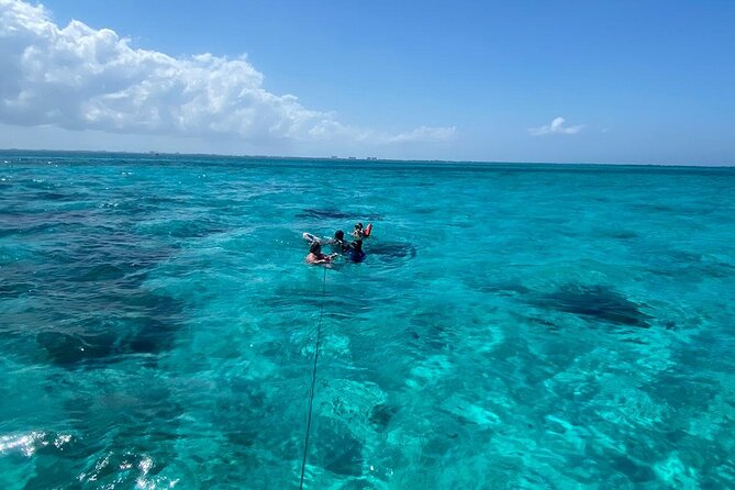 Adventure Stingray City, Snorkeling the Reef and Star Fish Point - What the $860 group price really buys