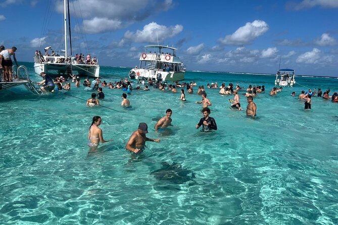 Aquaholic Charters: Private 1.5 - 4Hrs Cayman Luxury Adventure - Starfish Point for photos and a slower stop