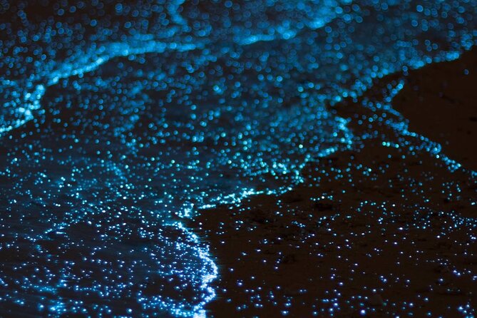 Bioluminescent Bay Adventure in Grand Cayman - Key points to know before booking