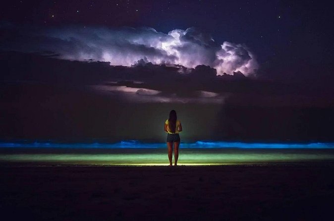 Bioluminescent Bay Adventure in Grand Cayman - To swim or stay aboard