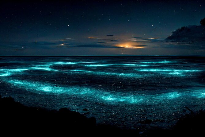 Bioluminescent Bay Adventure in Grand Cayman - What the glow may really look like