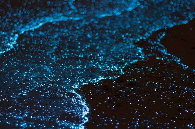 Bioluminescent Bay Adventure in Grand Cayman - Booking and cancellation details