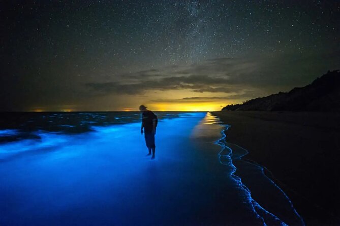 Bioluminescent Bay Adventure in Grand Cayman - The 40-minute ride to Starfish Point