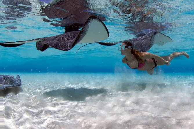 Cayman 3 in 1 Combo Adventure Stingray City Reef Snorkeling - Key points to know before you book