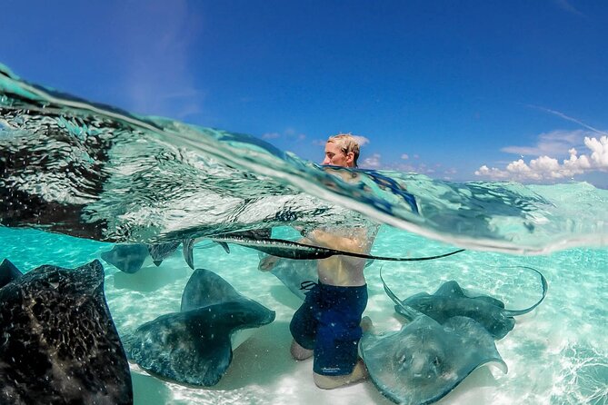 Cayman 3 in 1 Combo Adventure Stingray City Reef Snorkeling - Coral Gardens gives you a calmer snorkeling start