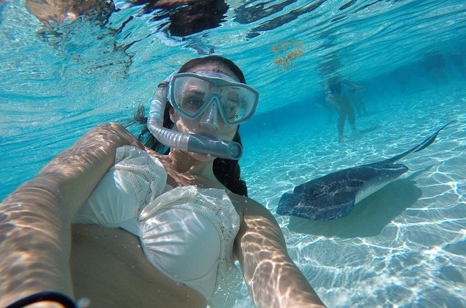 Cayman 3 in 1 Combo Adventure Stingray City Reef Snorkeling - What the $103.50 price really includes