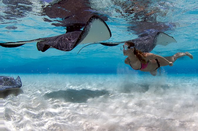 Cayman 3 in 1 Combo Adventure Stingray City Reef Snorkeling - Group size, comfort, and the pace of the day