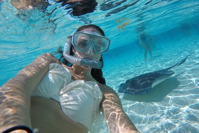Cayman 3 in 1 Combo Adventure Stingray City Reef Snorkeling - Who will enjoy this Cayman excursion most