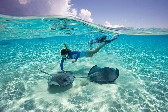 Cayman 3 in 1 Combo: Starfish Point, Stingrays and Reefs - What the three-hour schedule really means