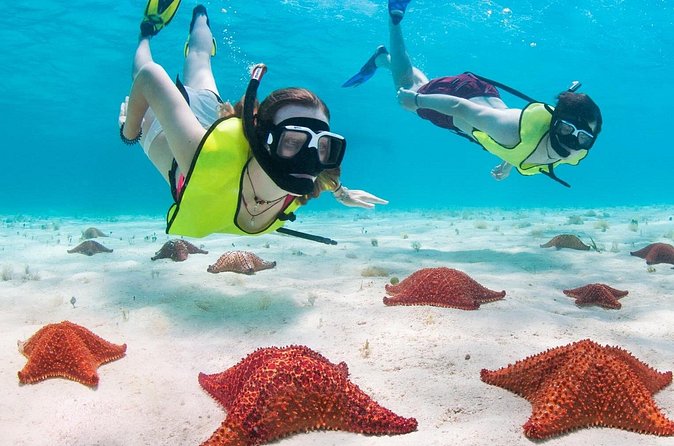 Cayman 3 in 1 Combo: Starfish Point, Stingrays and Reefs - Cruise port pickup and timing