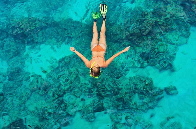Cayman 3 in 1 Combo: Starfish Point, Stingrays and Reefs - How the group size affects the day