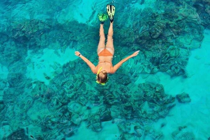 Cayman 3 in 1 Combo: Starfish Point, Stingrays and Reefs - Who will get the most from this outing