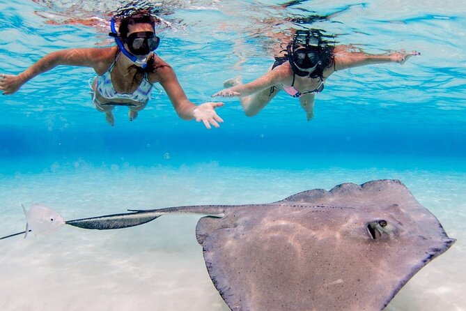 Cayman Adventure: Starfish Point, Stingray City and Coral Gardens - Starfish Point: A Slower Stop at the Water’s Edge