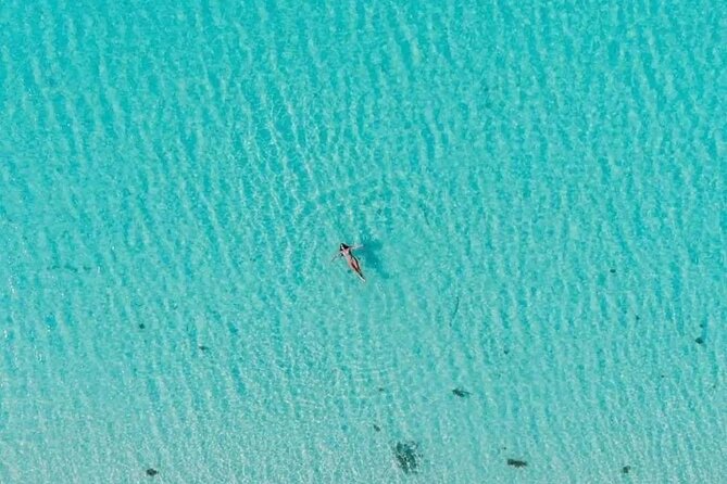 Cayman Adventure: Starfish Point, Stingray City and Coral Gardens - A Three-Hour Schedule That Fits a Cruise Day