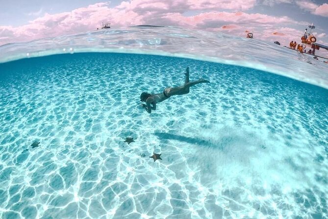 Cayman Adventure: Starfish Point, Stingray City and Coral Gardens - Meeting Point Details You Should Not Ignore