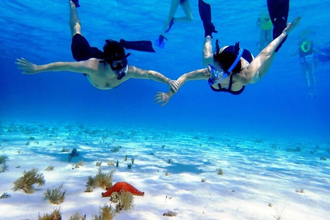 Cayman Adventure: Starfish Point, Stingray City and Coral Gardens - Cancellation and Cruise-Day Protection