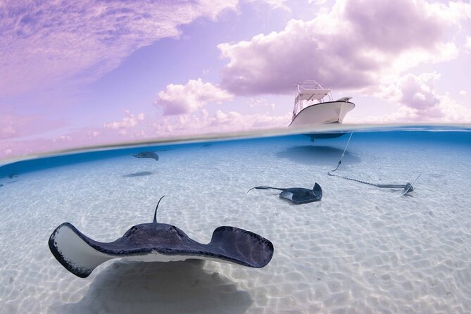Cayman Adventure Stingrays Starfish plus Crystal Caves - Why this three-part Grand Cayman tour works