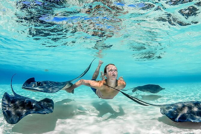 Cayman Adventure Stingrays Starfish plus Crystal Caves - Starfish Point and a slower hour by the sea