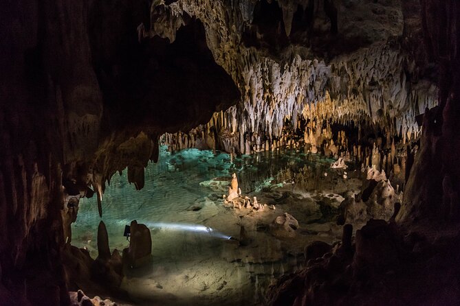 Cayman Adventure Stingrays Starfish plus Crystal Caves - What the $89.10 price really covers