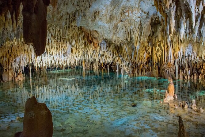 Cayman Adventure Stingrays Starfish plus Crystal Caves - Who should book this outing