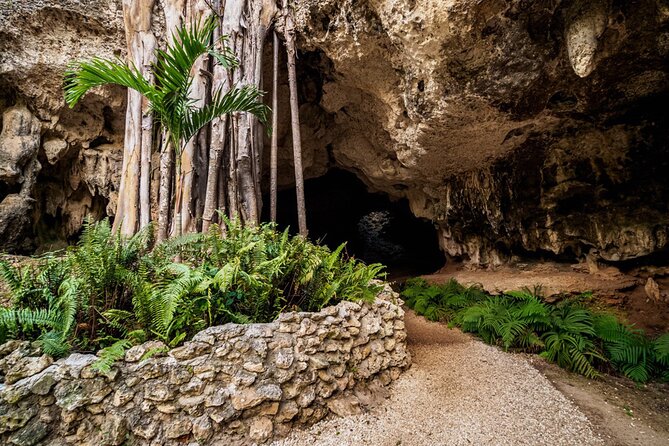 Cayman Adventure Stingrays Starfish plus Crystal Caves - Small details that make the morning easier