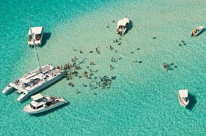 Cayman Combo Tour: Starfish Point, Stingray City & Coral Gardens - Coral Gardens and 40 minutes of snorkeling