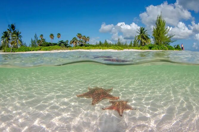 Cayman Combo Tour: Starfish Point, Stingray City & Coral Gardens - Starfish Point for a slower hour