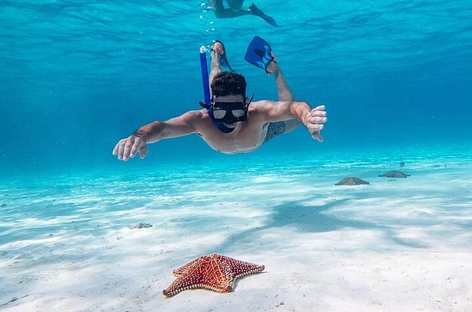 Cayman Combo Tour: Starfish Point, Stingray City & Coral Gardens - Crew, comfort, and group size