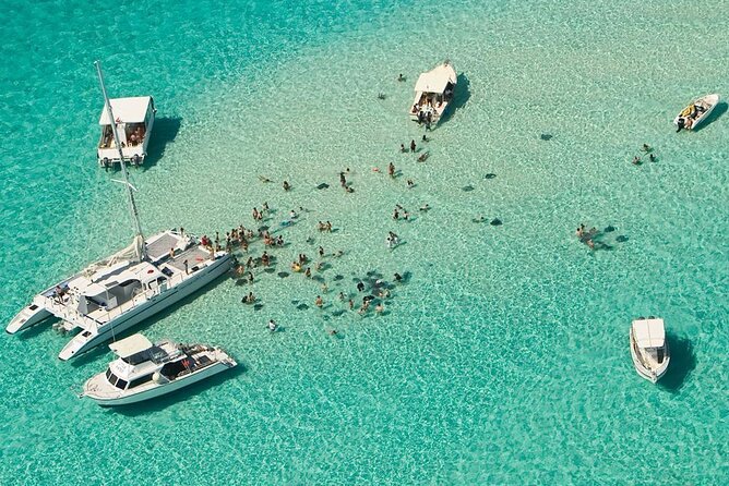 Cayman Combo Tour: Starfish Point, Stingray City & Coral Gardens - Is $119 a fair price?