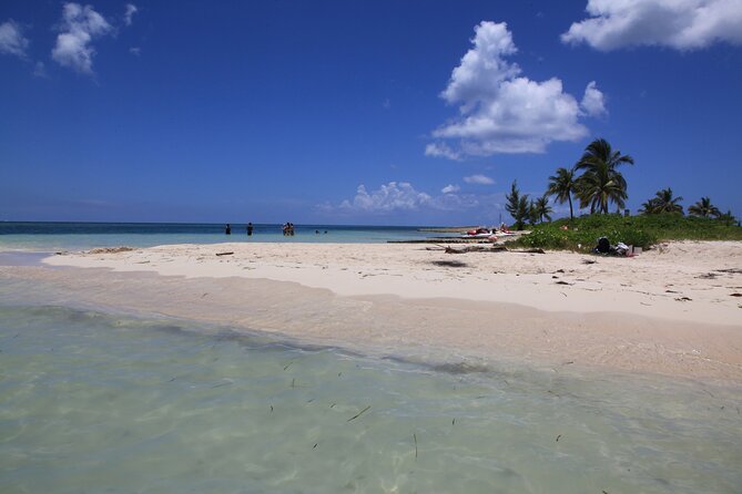 Cayman Combo Tour: Starfish Point, Stingray City & Coral Gardens - Who should book this excursion?