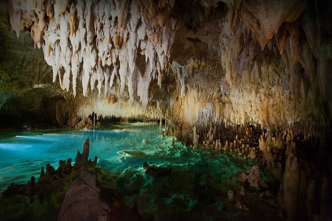 Cayman Combo Tour: Stingrays, Starfish Point and Crystal Caves - Crystal Caves: a welcome change below ground