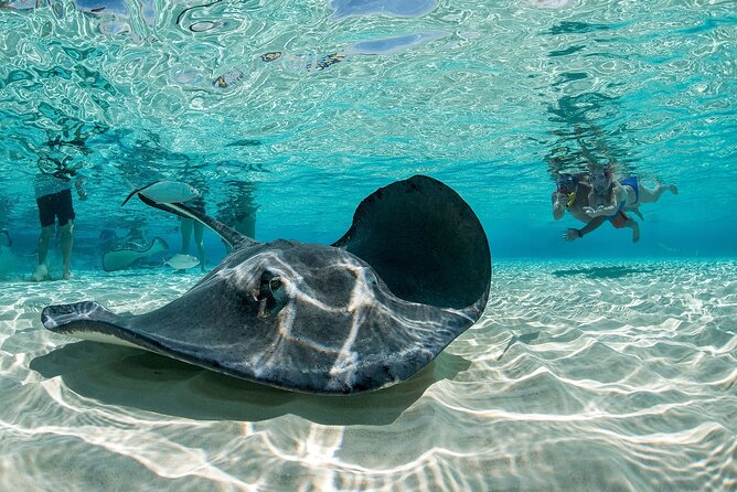 Cayman Combo Tour: Stingrays, Starfish Point and Crystal Caves - What the $109 price really buys you