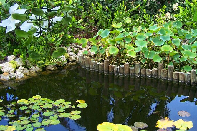 Cayman Crystal Caves & Pedro St James Castle or Botanical Garden - Who Will Get the Best Value