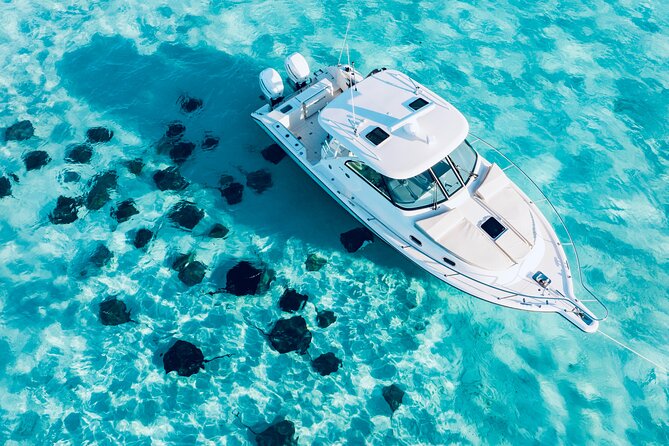 Cayman Private Luxury Charters - Stingray City, Snorkel, & More - Key points to know before booking
