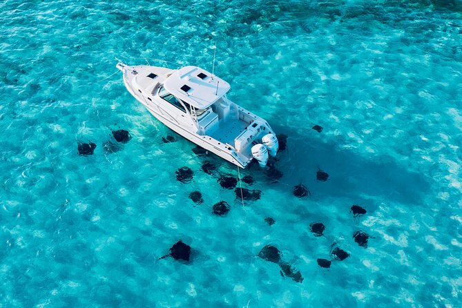 Cayman Private Luxury Charters - Stingray City, Snorkel, & More - Why a private boat changes the Cayman day