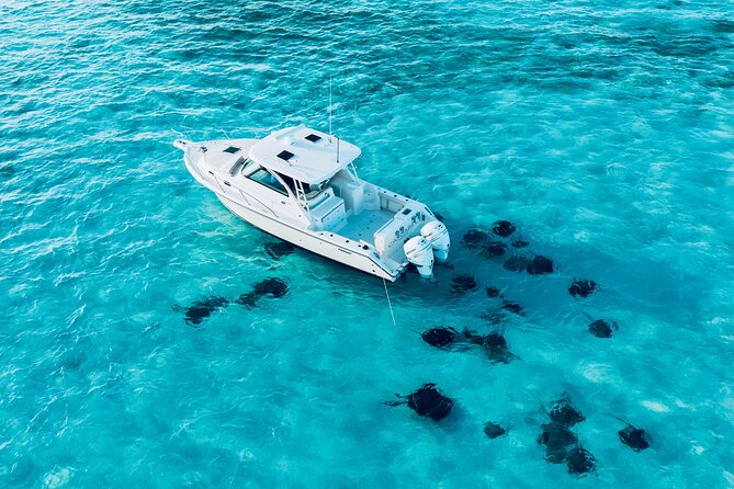 Cayman Private Luxury Charters - Stingray City, Snorkel, & More - Adding lunch at Kaibo or Rum Point