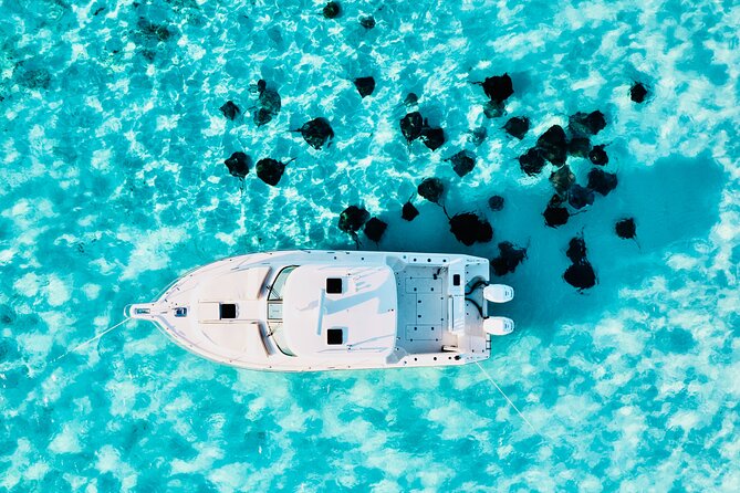 Cayman Private Luxury Charters - Stingray City, Snorkel, & More - Stingray City: the reason most people book